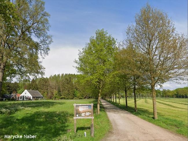 Wandelsporen Wijhe - Raalte