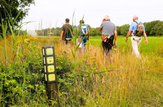 Door het land van Hilver en Leije