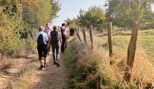 Door de beekdalen van de Voer en de Berwinne