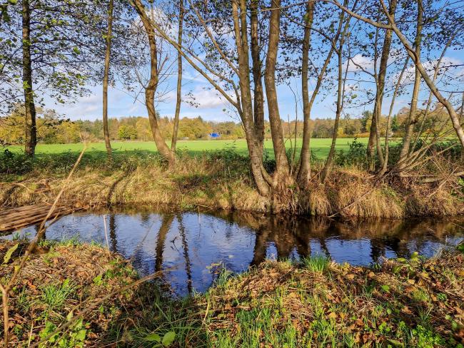 Beekloopje Wissel-Tongeren