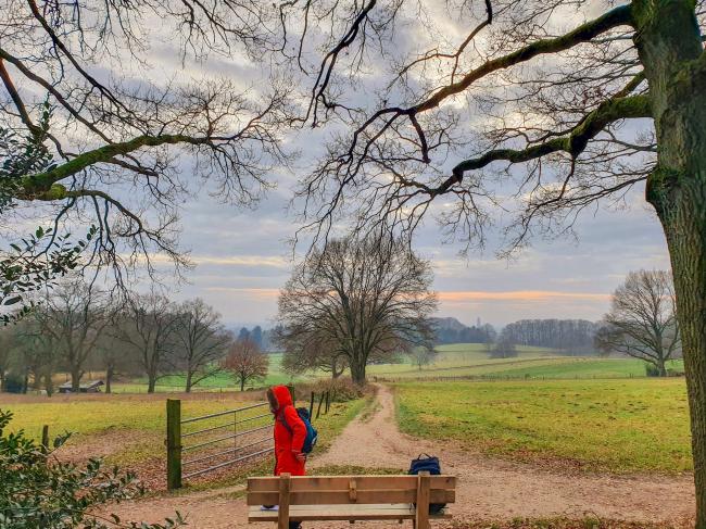 Arnhem bergwandeling