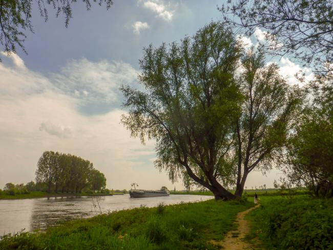 KANkorter Dieren Zuid