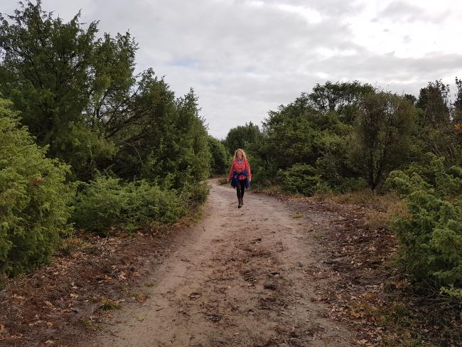 Tussen Nijverdal en De Sallandse Heuvelrug