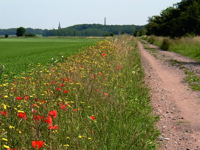 Bergwandeling Ossendrecht