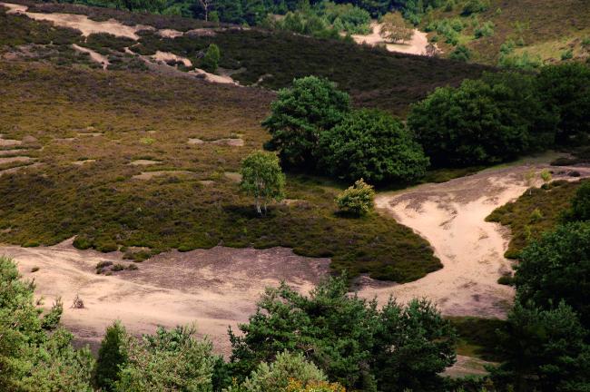 Bergwandeling Rheden