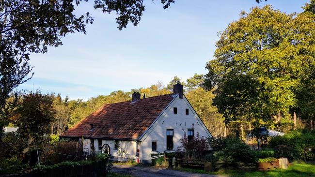 Koloniewandeling Boschoord