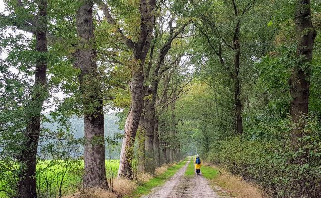 Koloniewandeling Wilhelminaoord