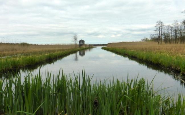 Thijssewandeling Naarden-Bussum