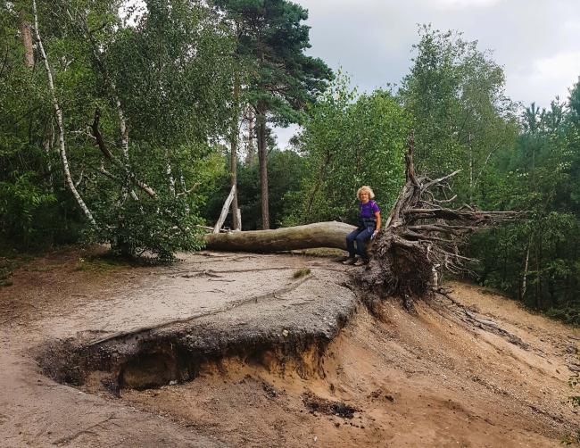 Tussen Nijverdal en Hellendoorn