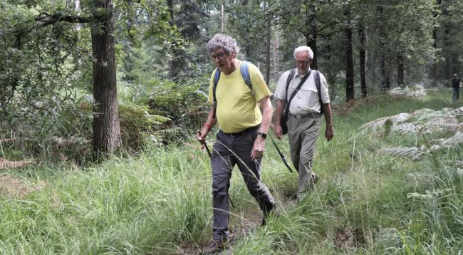 De Chaamsche Beekdalen Route