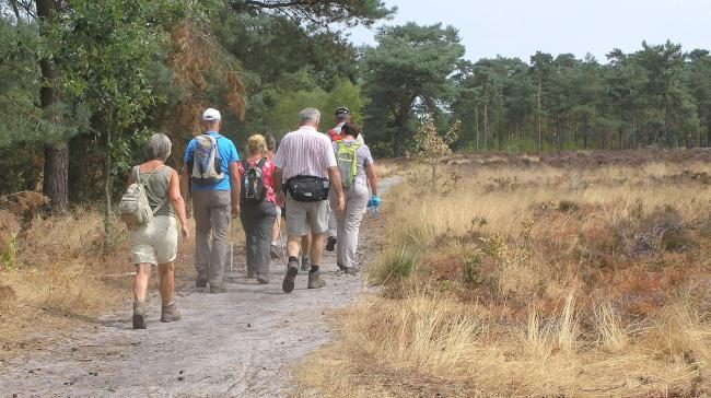 Rondom de Strijbeekse Beek