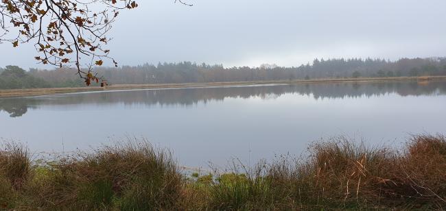 Kort en Prachtig Leersumse Veld