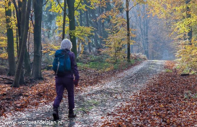 Reichswald gps-wandeling