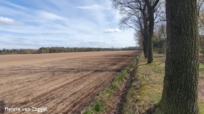 Knopenrondje Het Hurkske - Bos en boerenland