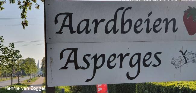 Knopenrondje Rijkevoort - Aardbeien en asperges