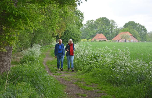 Stelkampsveld