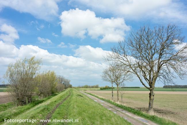 Groene Wissel Sint Anna ter Muiden