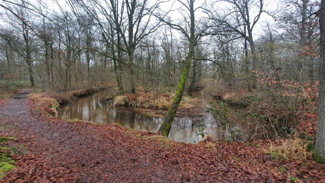 Knopenrondje Landgoed Baest - De Kleine Beerze