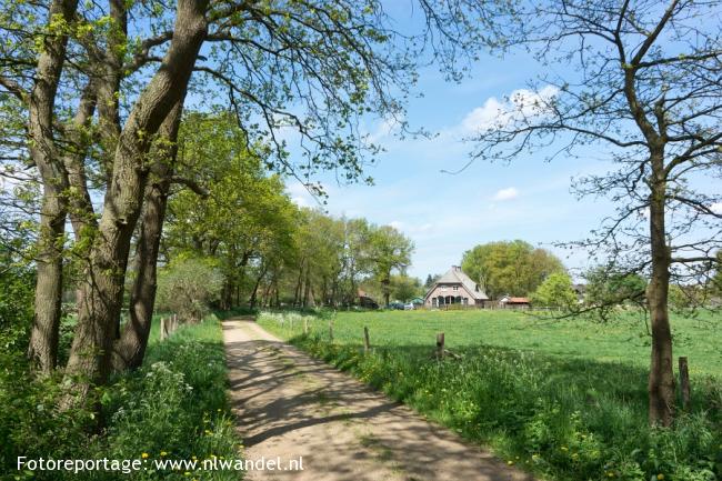 Landweg bij Uddel