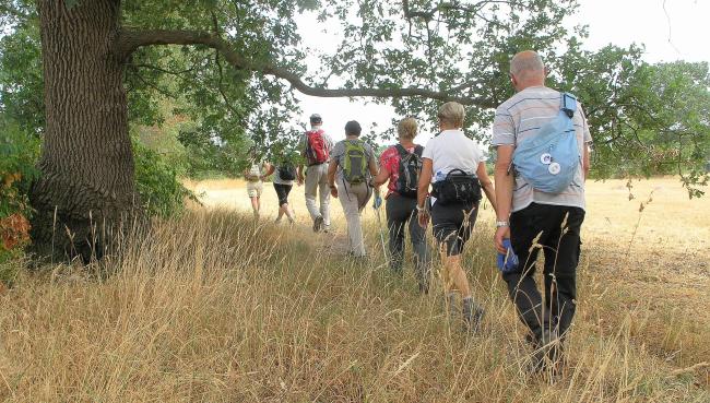 Op pad rondom de Strijbeekse Beek