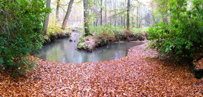 Op pad langs de Roovertsche Leij