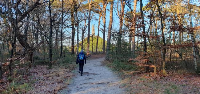 Kort en Prachtig Pyramide van Austerlitz