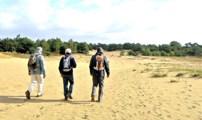 Struinen door de Babantse Sahara