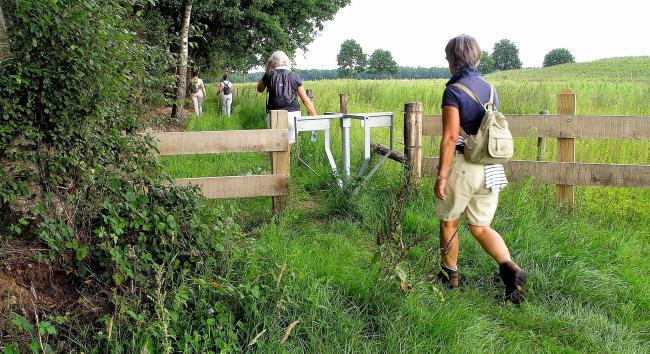 Aan de bovenloop van de Kleine Beerze