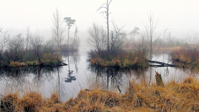 Langs de parels van de Oisterwijkse Vennen