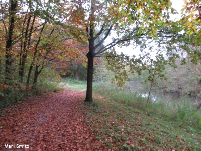 Voetstapper Gemeentebossen