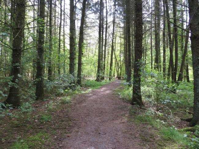 Voetstapper Hollandse Hout