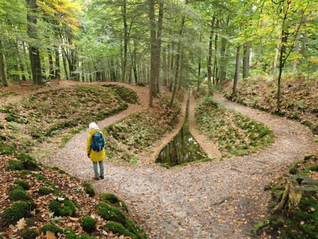 Beekloopje Paleispark Het Loo