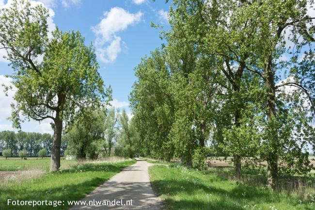 Groene Wissel Steenbergen NB 1