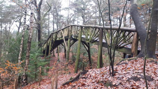 Kort en Prachtig Bergse Bossen