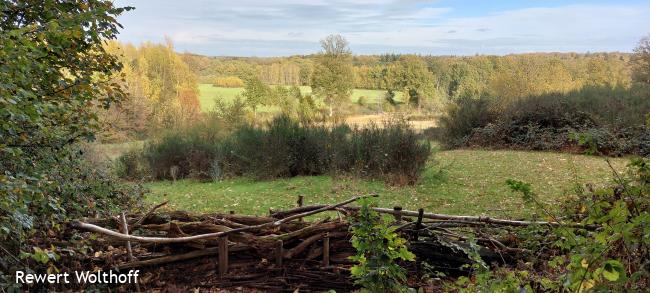 uitzicht Tankenberg