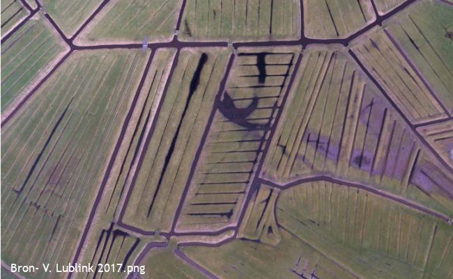 Luchtfoto Lionspolder (Bron- V. Lublink 2017)