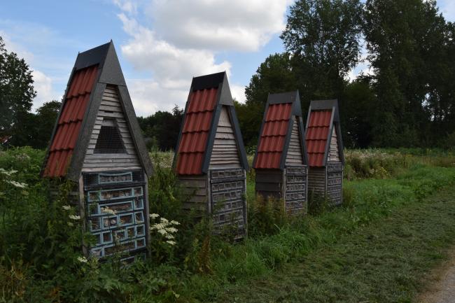 Voetstapper Wisentbos