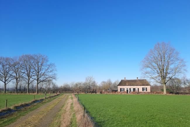 Boerderijen