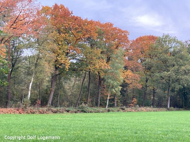 Herfstkleuren