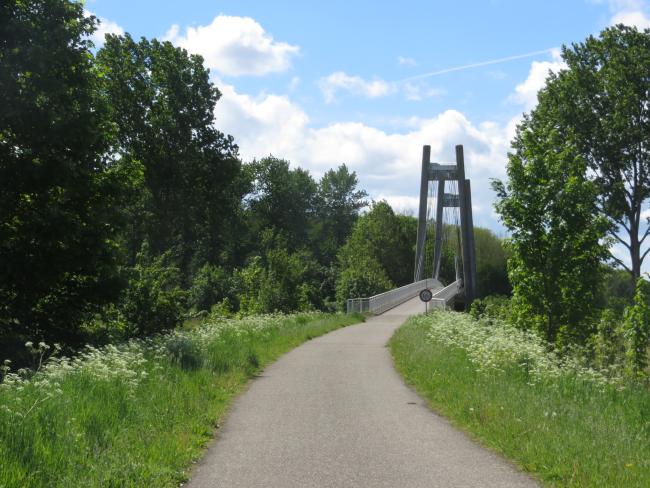 Voetstapper Almeerderhout