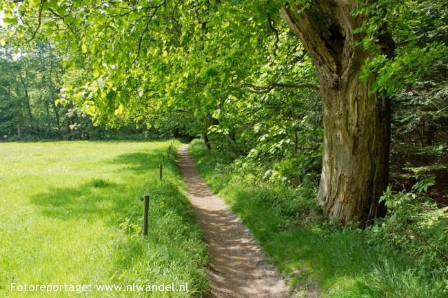 Groene Wissel Beetsterzwaag 1