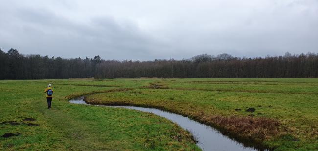 Kort en Prachtig Pijnenburg