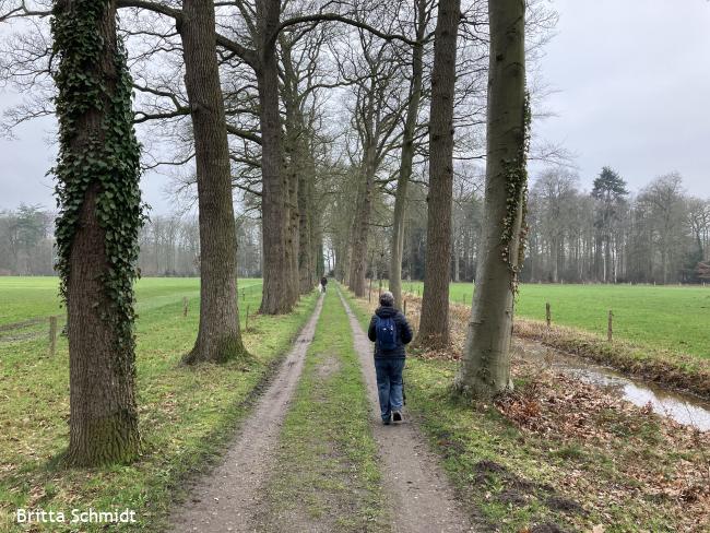 Eikenlaan naar Spijkerbosch