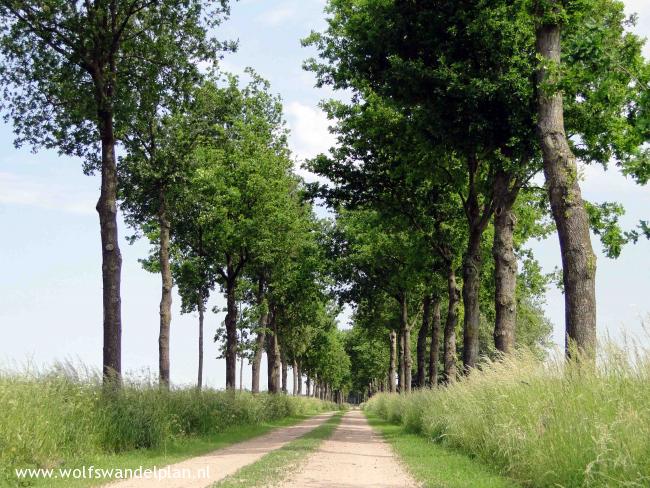 Trage Tocht Winterswijk Corle