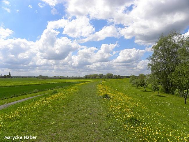 Dijk langs Steenenkamer met zicht op de Stadsweiden