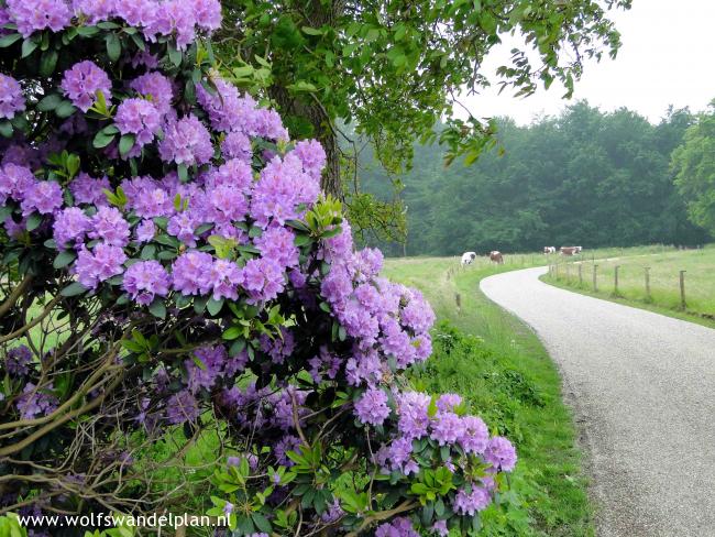 Trage Tocht Hollandsche Rading