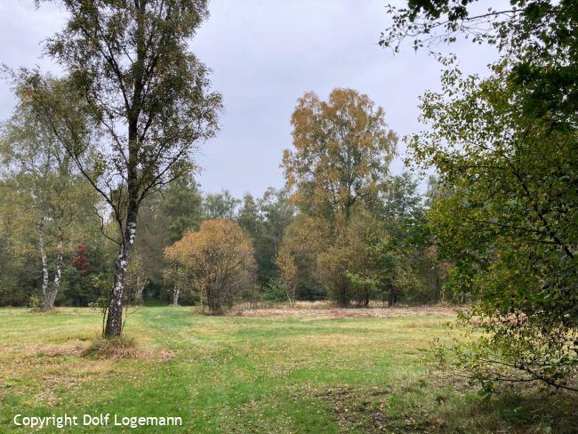 De landgoederen tussen Brummen en Empe