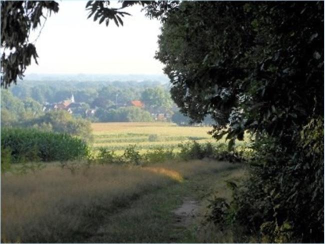 Wandelroute Grebbeberg