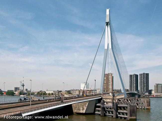 Rotterdam