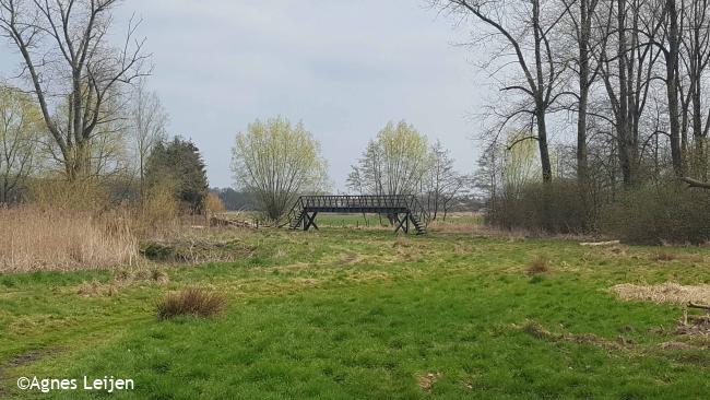 Brug over Dommel bij Waalre